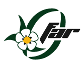 Federación Andaluza Rugby