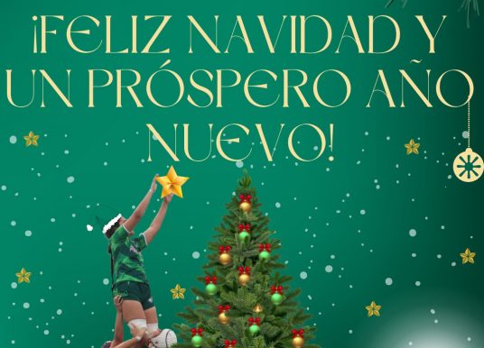 Feliz Navidad y Próspero Año nuevo 2025